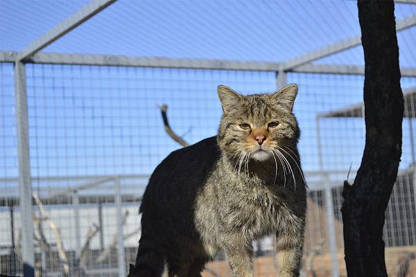 Конференц-холл «NATURE» фото №108295