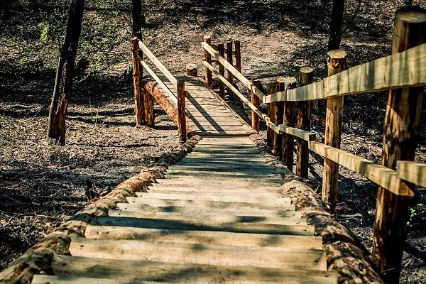 Конференц-холл «NATURE» фото №108292