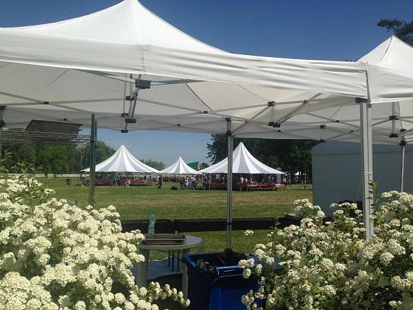 Большая территория для масштабных мероприятий фото №104928