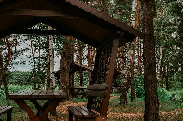 Конференц-холл «NATURE» фото №108294