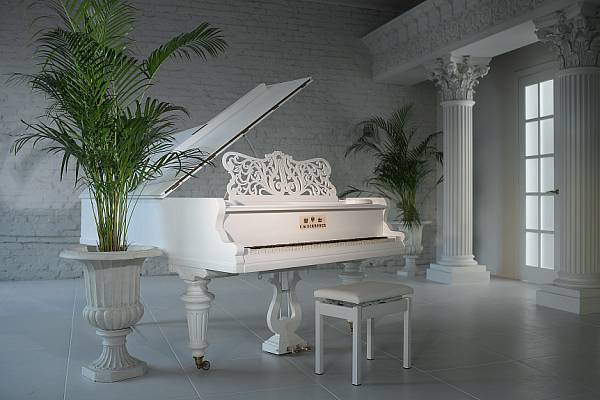 Фотостудия XXL-STUDIO фото №107659