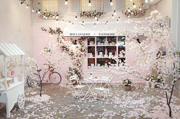 Фотостудия Frontpage фото №105058