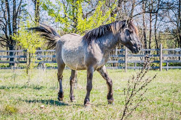 Конференц-холл «NATURE» фото №108296