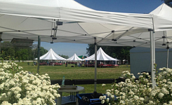 Большая территория для масштабных мероприятий Киевская область фото 